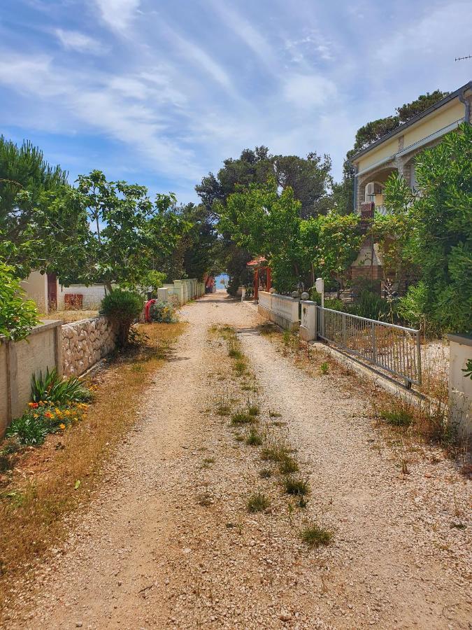 Apartmani Steli Vir Εξωτερικό φωτογραφία